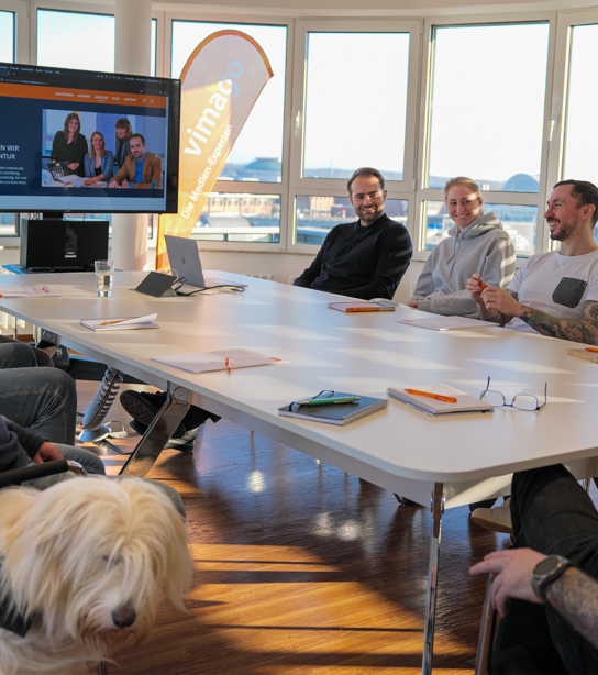 Foto eines typischen Teammeetings mit allen Mitarbeitern und Bürohund im Konferenzraum von vimago
